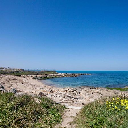 דירות מולה די בארי Casaalmare מראה חיצוני תמונה